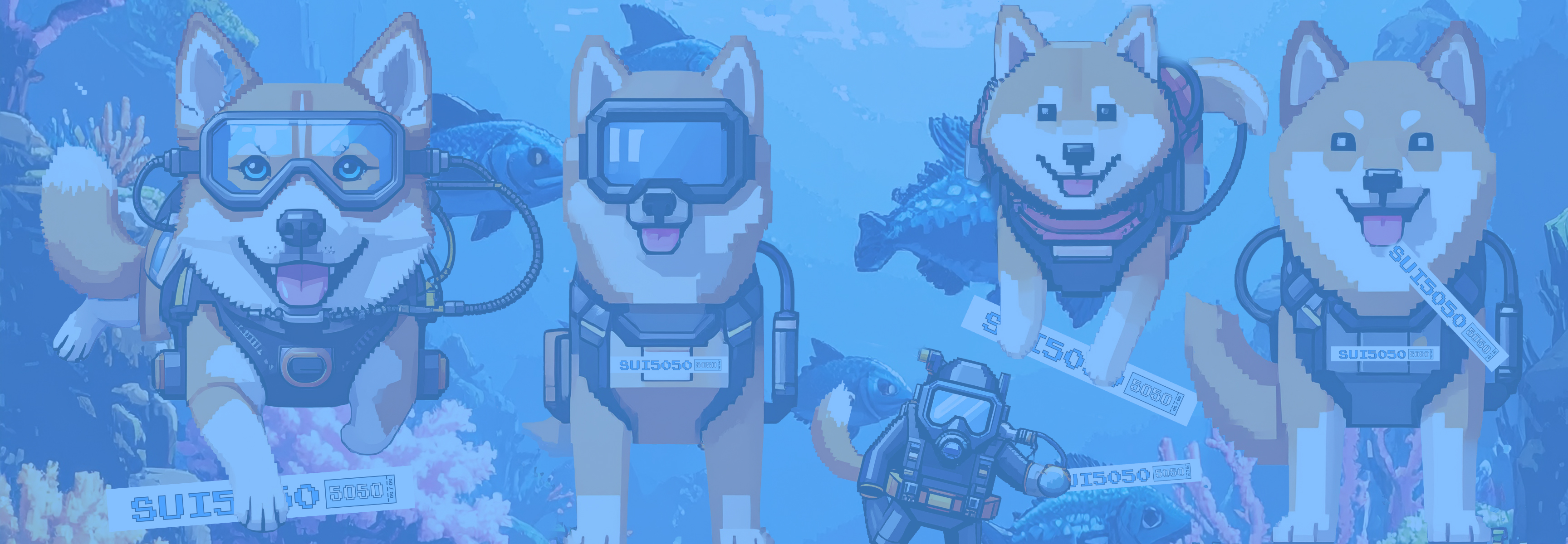 SUI5050 Web3 Raffles Background